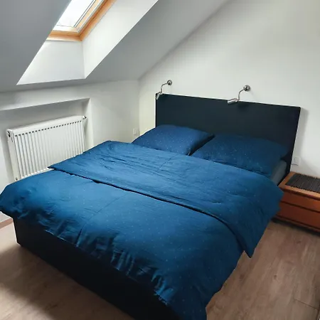 아파트 Apartman Ptice