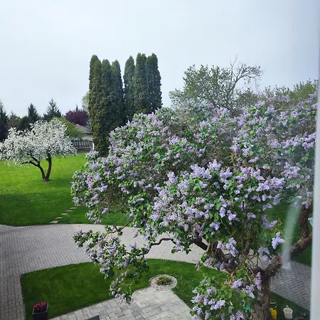 Apartman Ptice Apartament