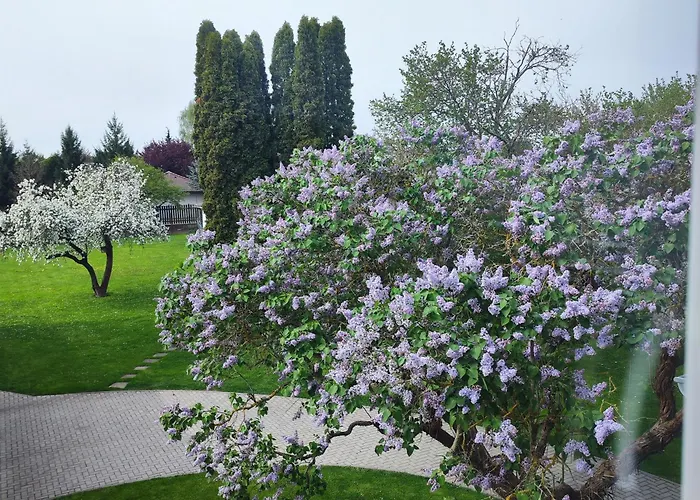 Apartman Ptice Daire